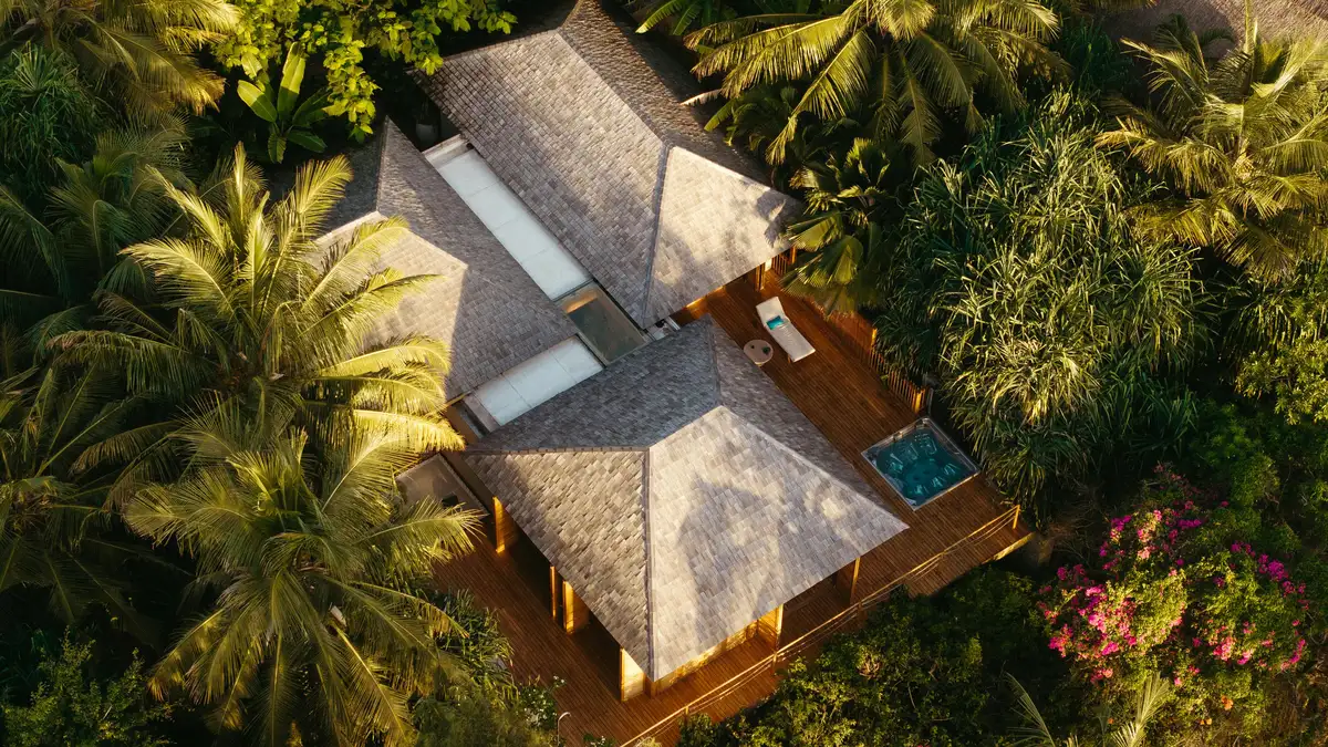 Explore a luxurious eco-resort nestled in the lush forests of Tanzania.