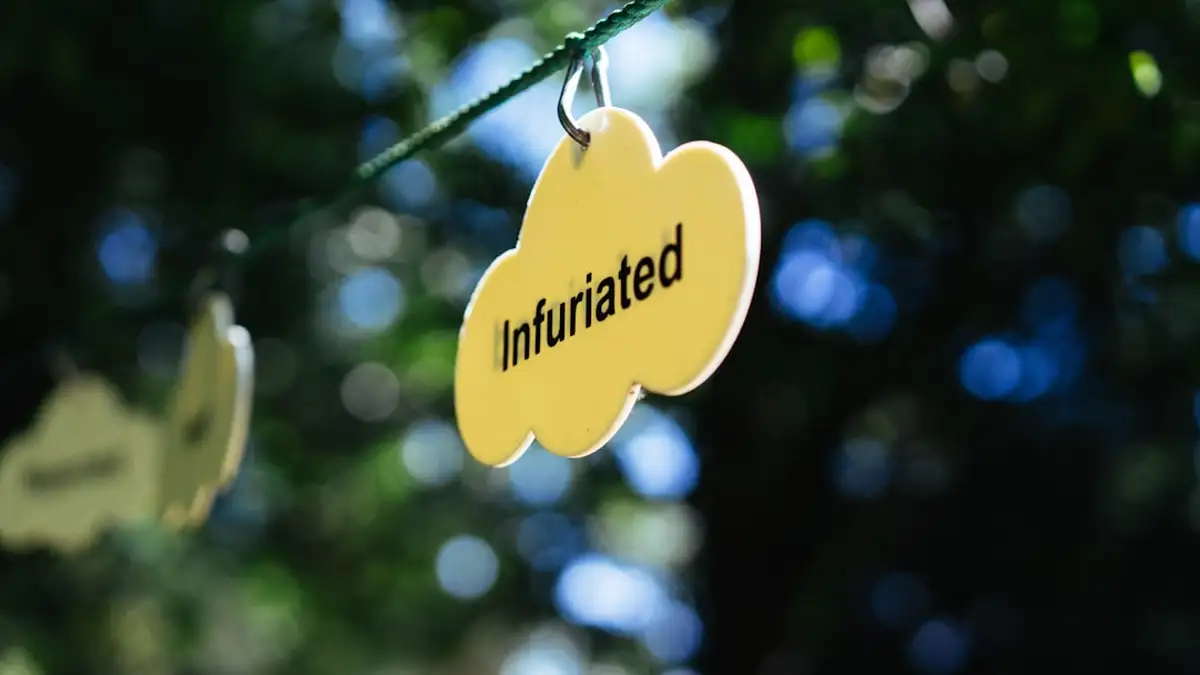 A cloud-shaped tag reads "infuriated".